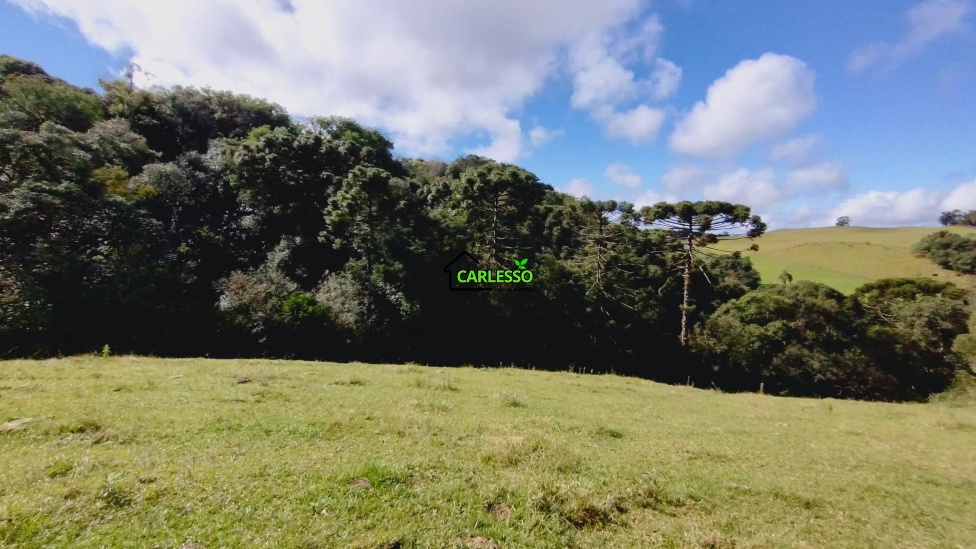 Área rural de 6 ha