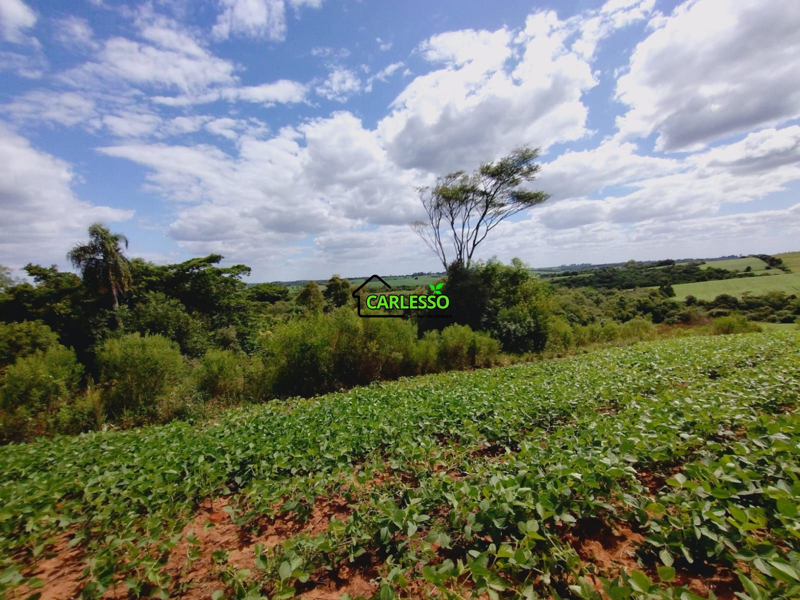 Sítio, 25 hectares - Foto 71