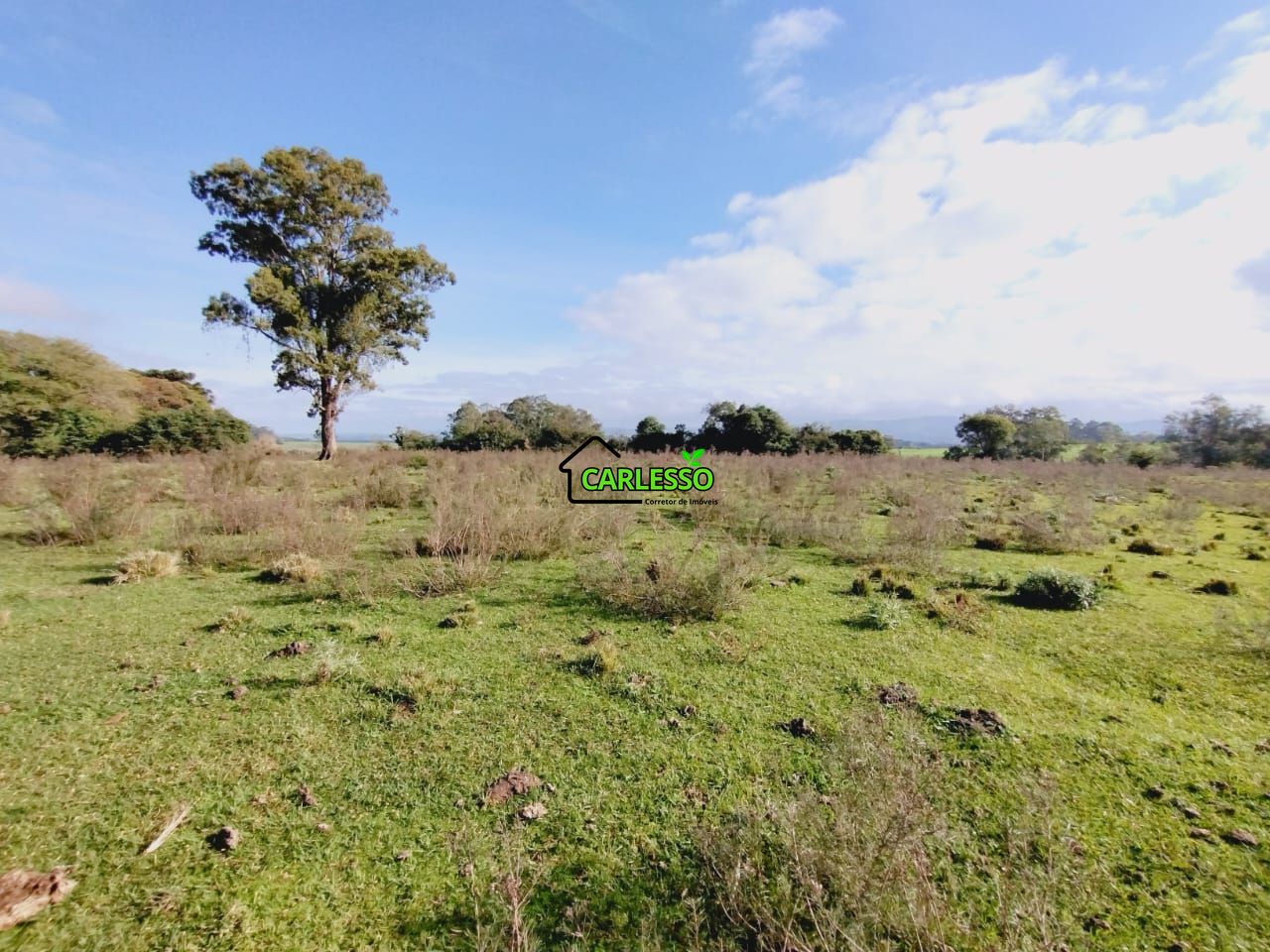 Chácara, 9 hectares - Foto 47