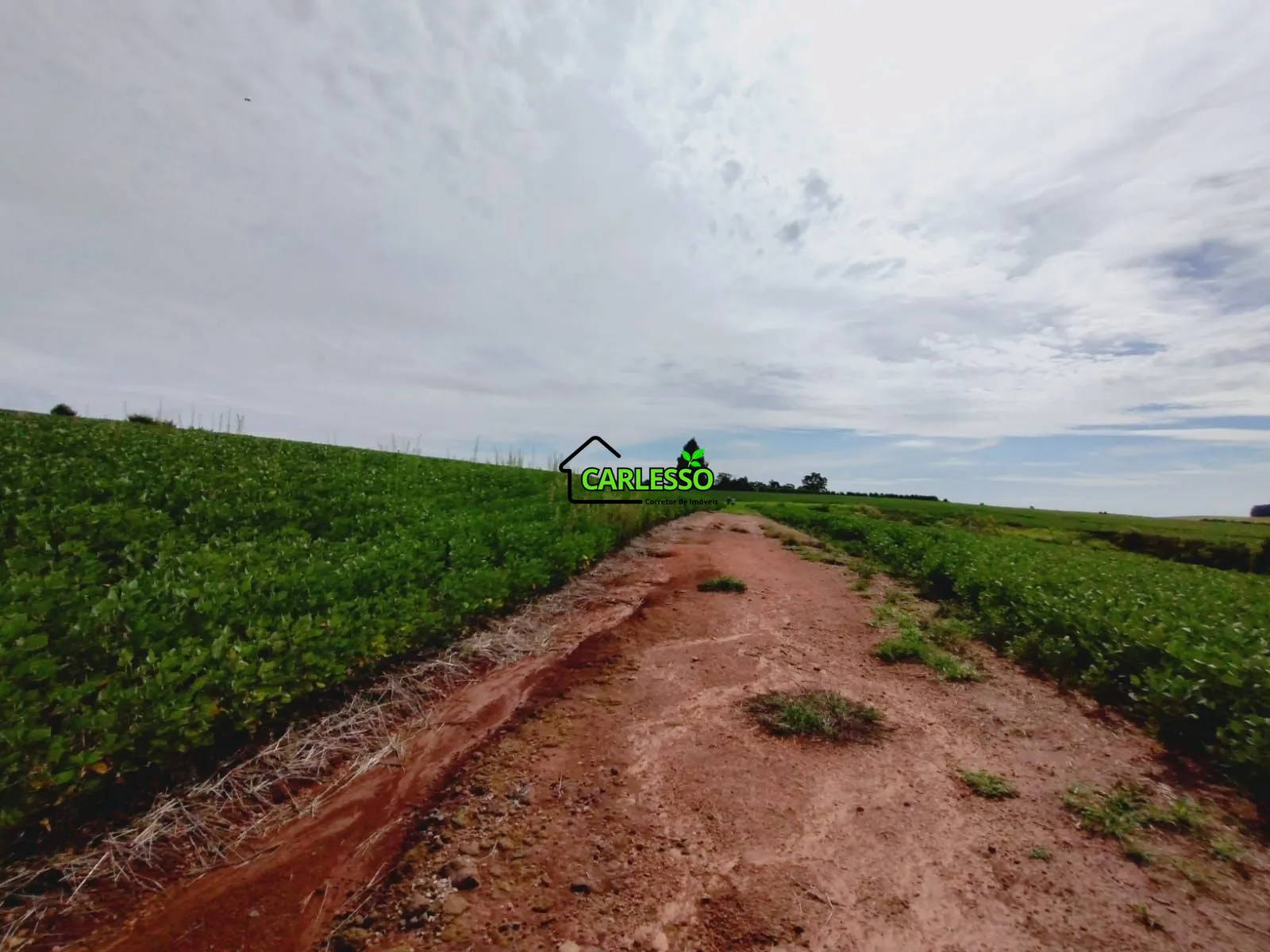 Sítio, 3 quartos, 25 hectares - Foto 34