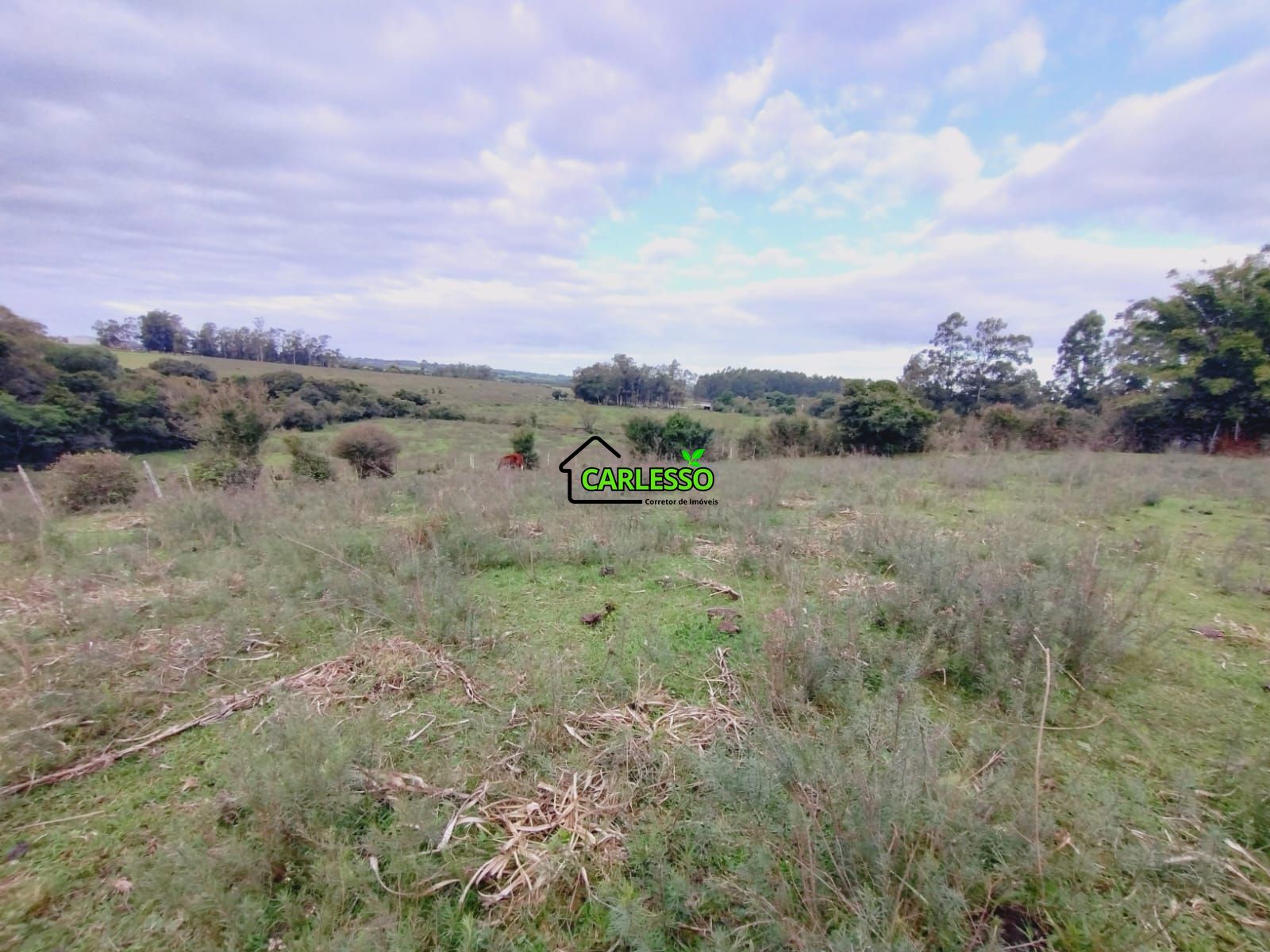 Terreno, 6 hectares - Foto 22