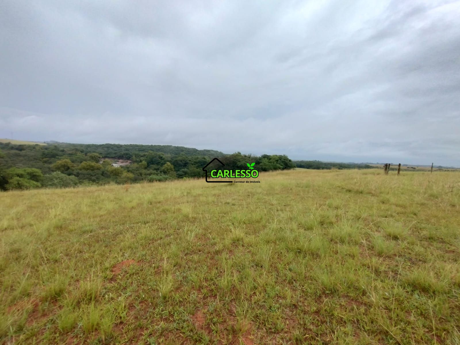 Fazenda de 80 ha em Alegrete