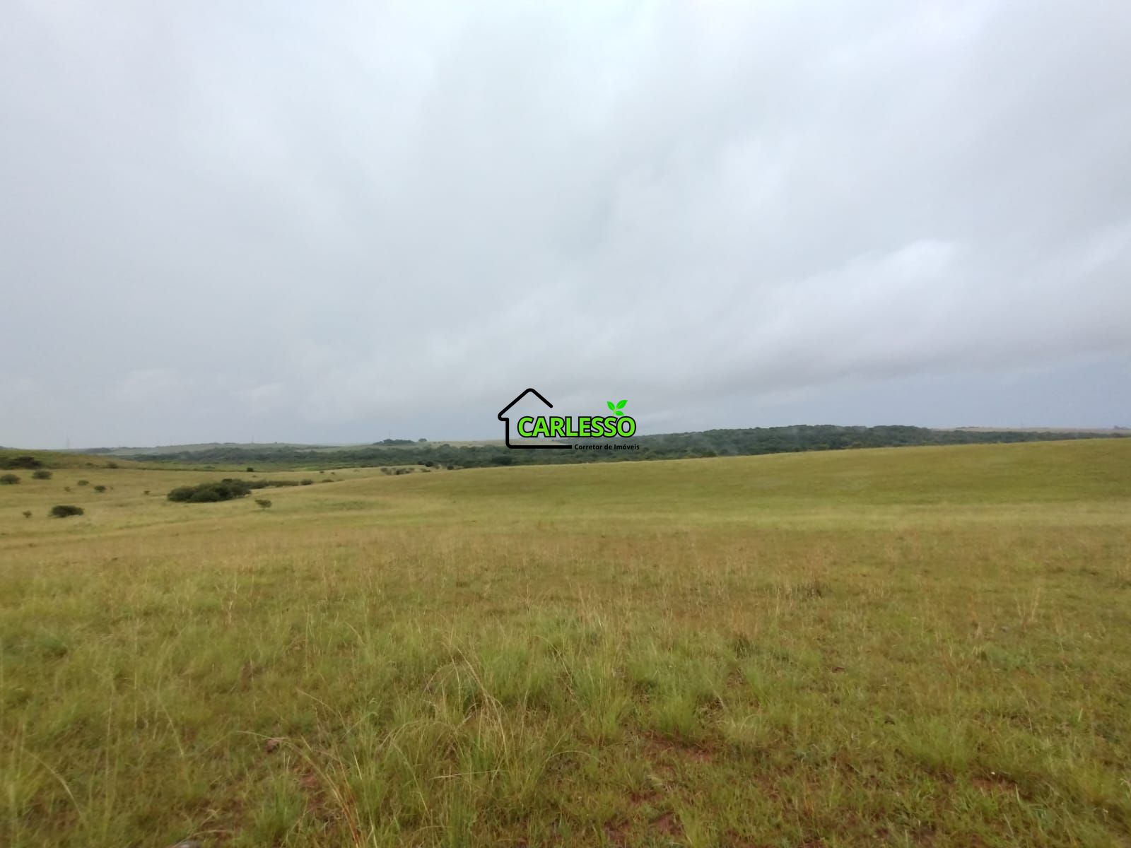 Fazenda de 80 ha em Alegrete