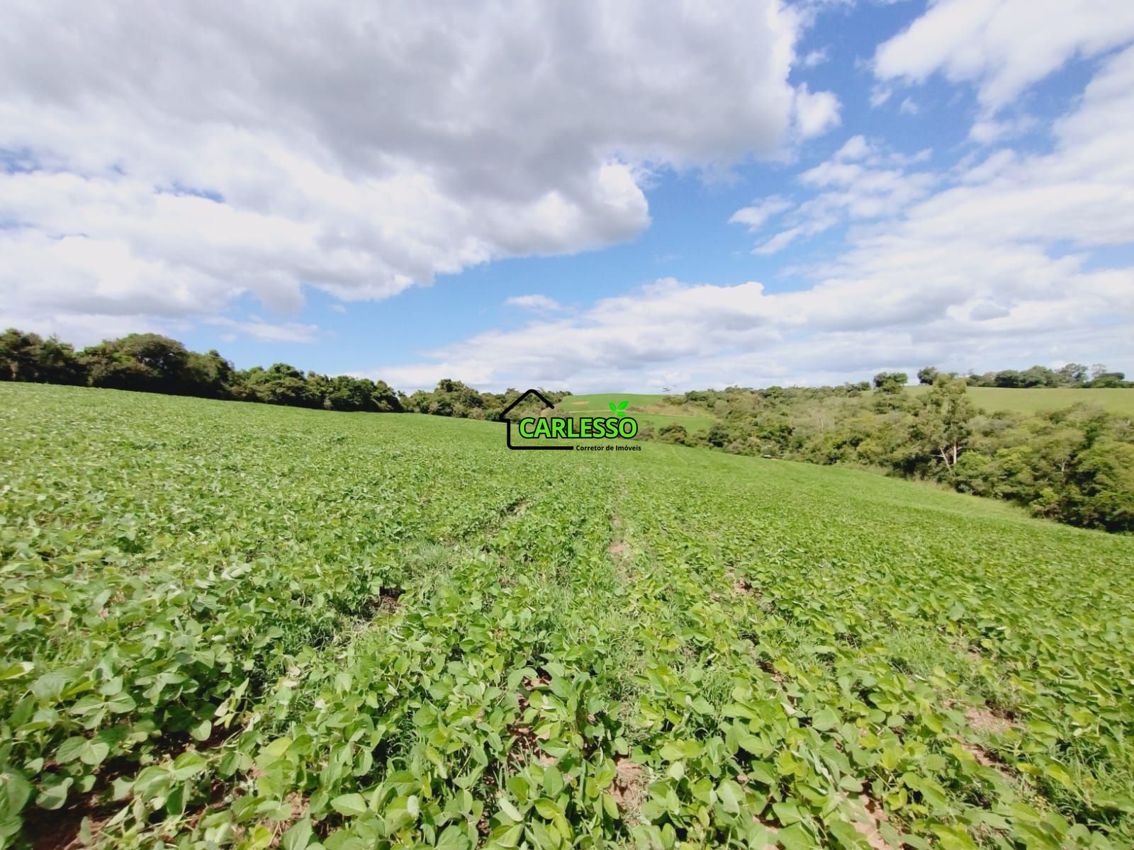 Sítio, 25 hectares - Foto 72