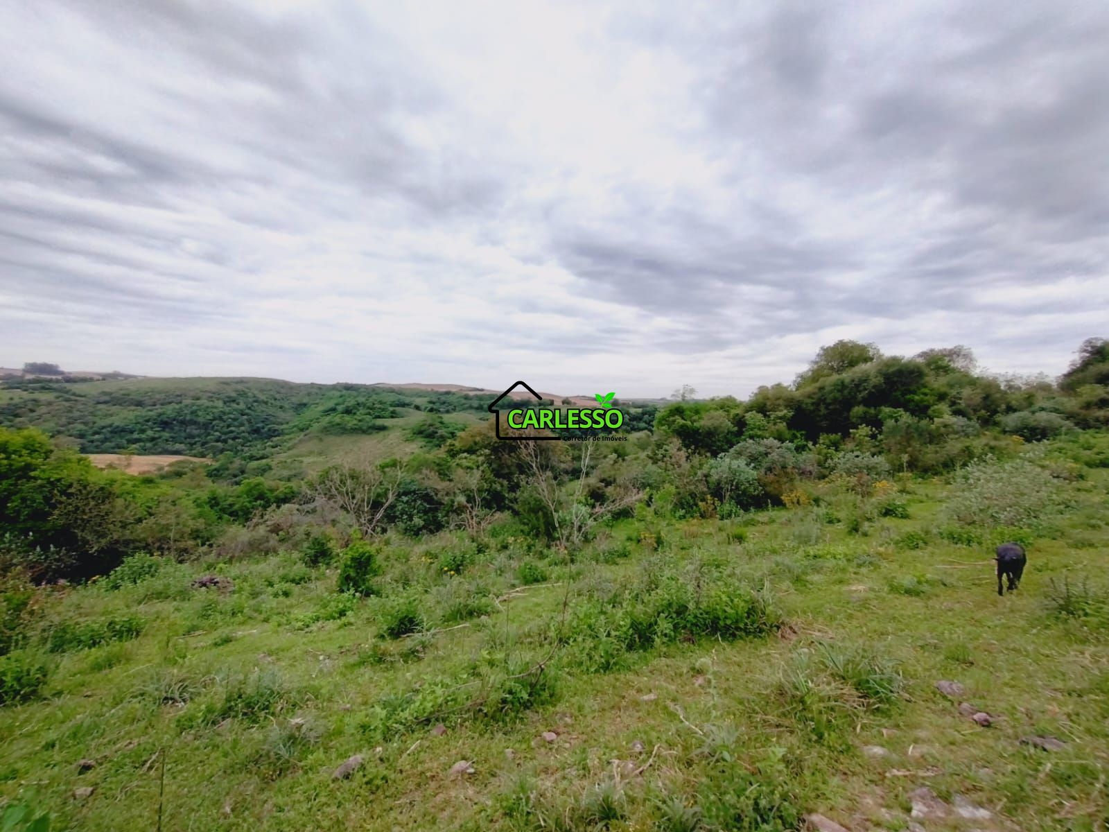 Sítio, 9 hectares - Foto 11