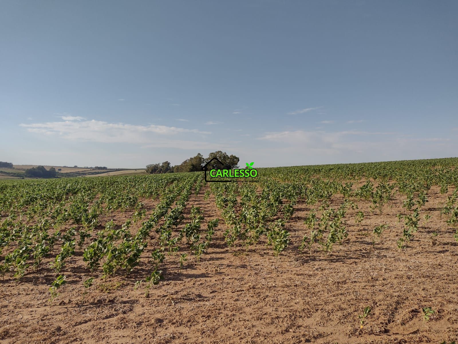 Fazenda com 63 ha