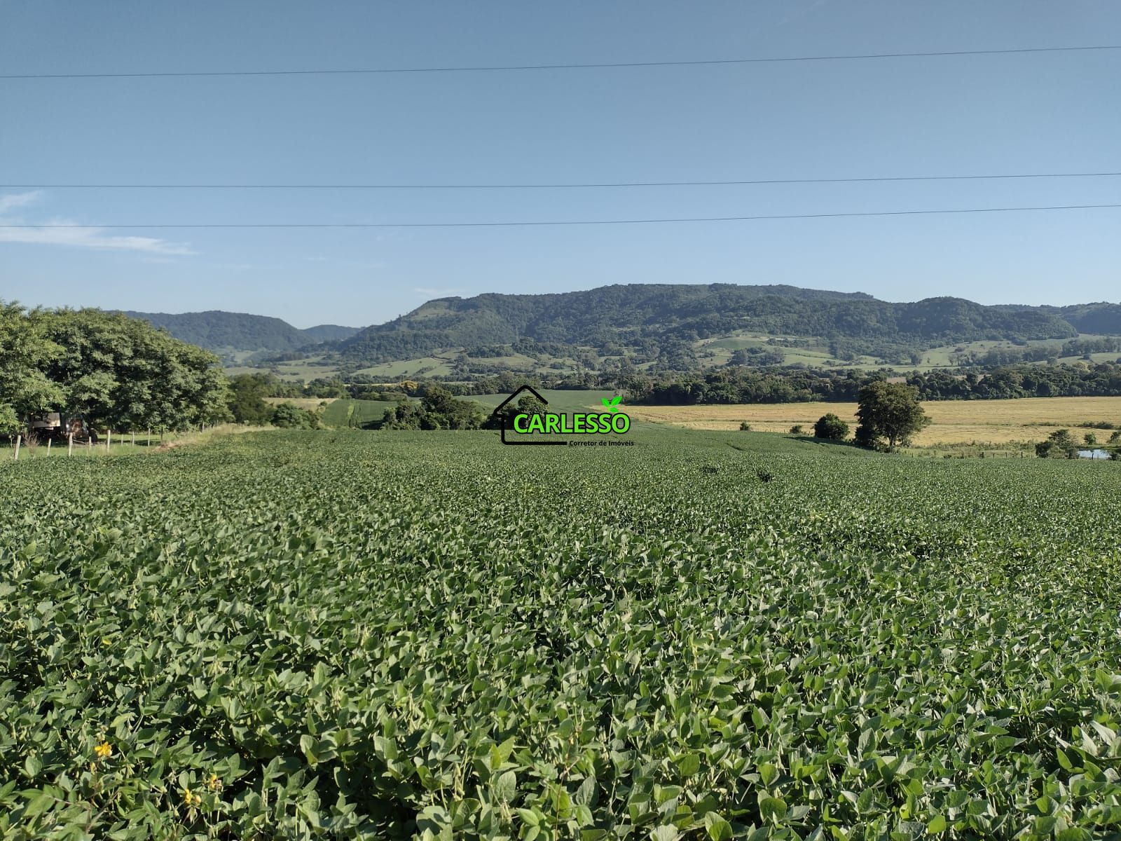 Área de 8,5 ha a venda