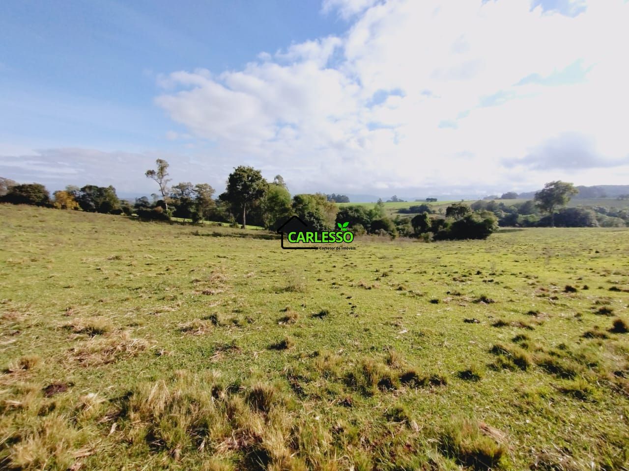 Chácara, 9 hectares - Foto 29