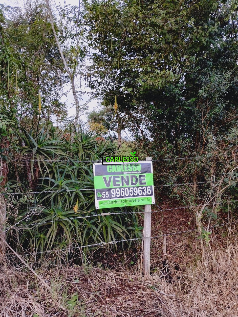 Terreno, 6 hectares - Foto 38