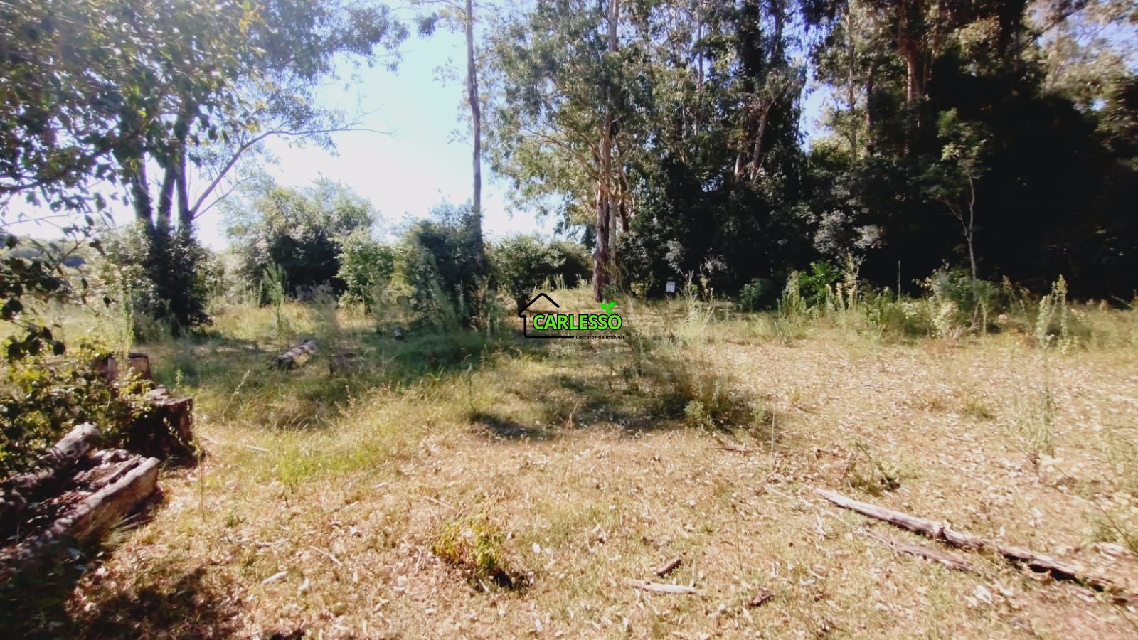 Sítio, 2 quartos, 7 hectares - Foto 55