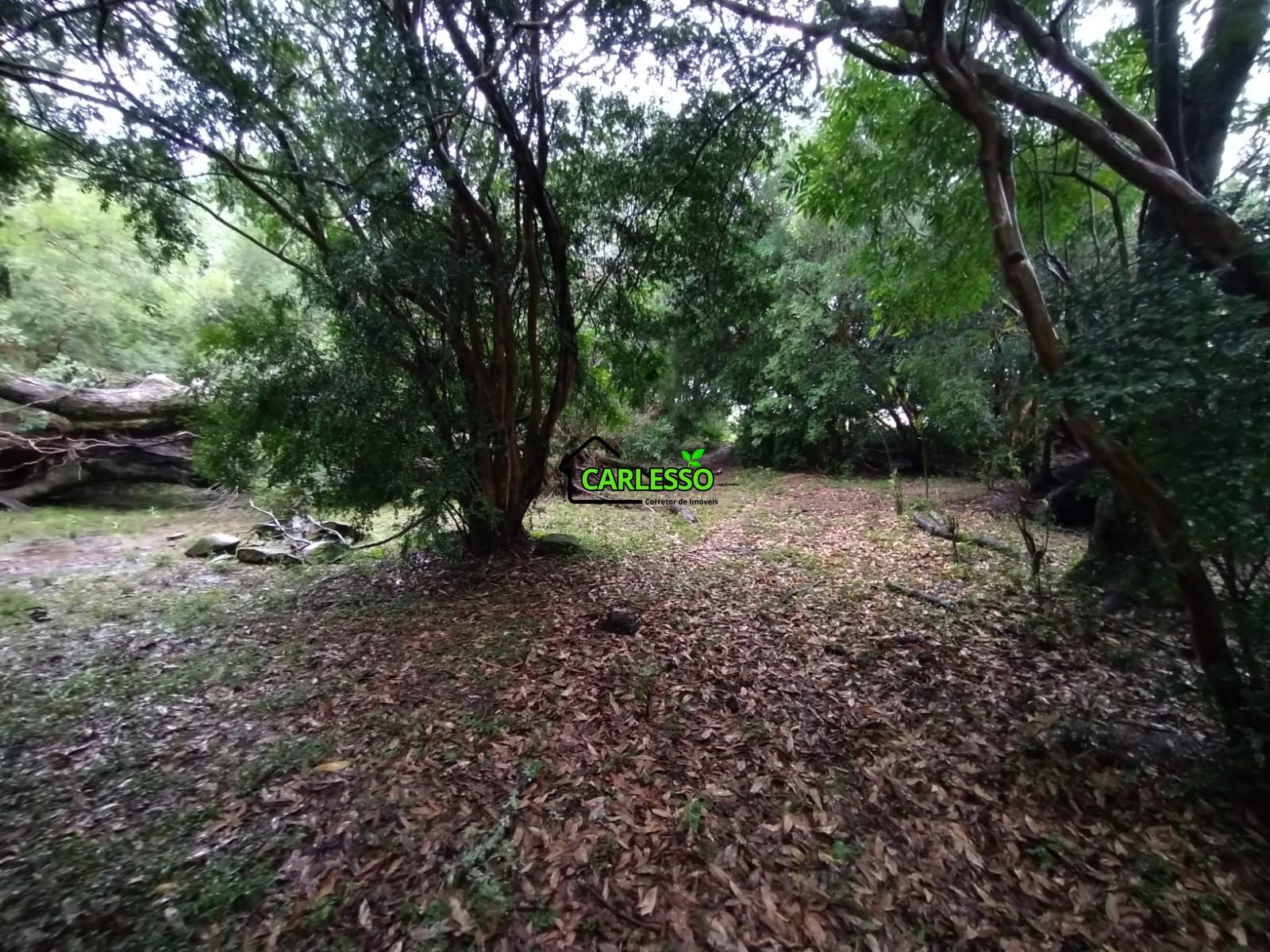 Fazenda de 80 ha em Alegrete