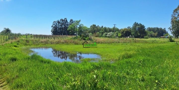 Chácara, 2 quartos, 2 hectares - Foto 10