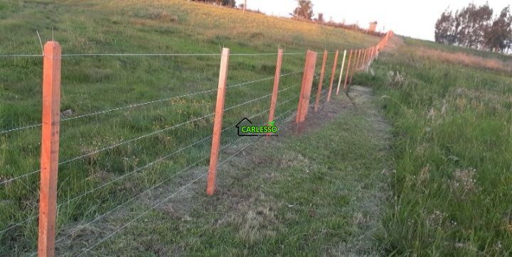 Chácara, 2 quartos, 2 hectares - Foto 12