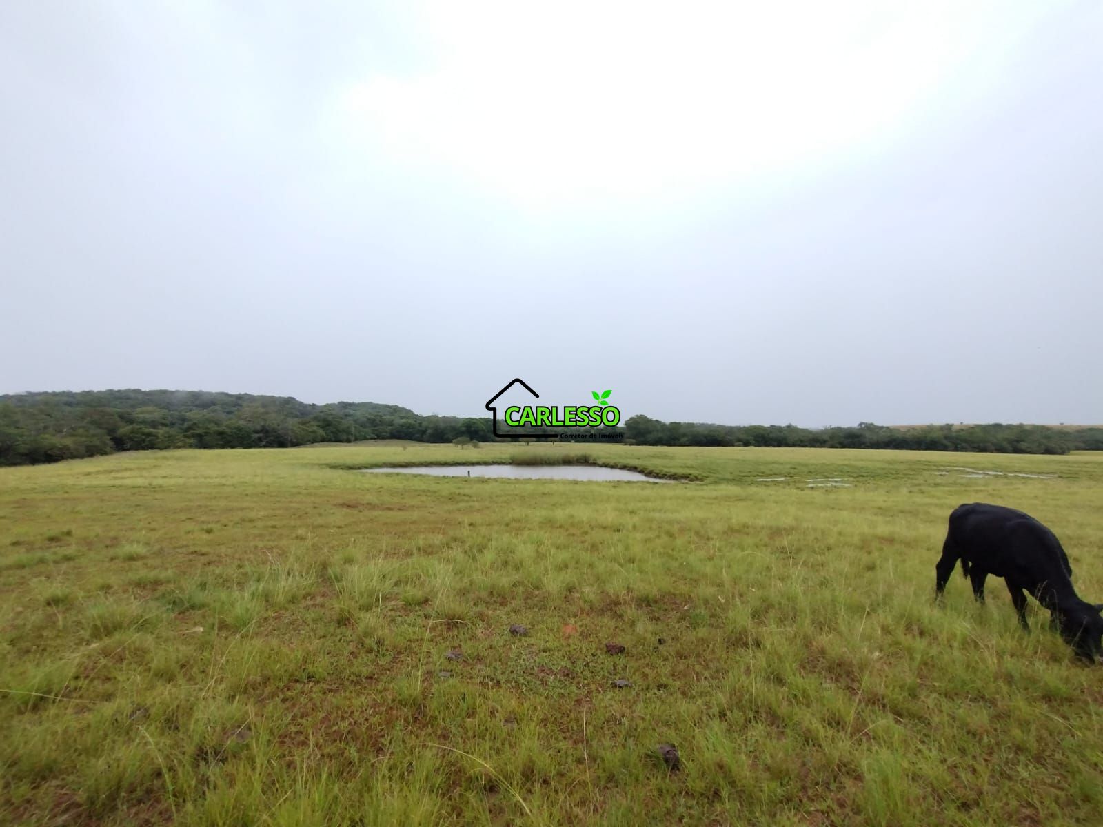 Fazenda de 80 ha em Alegrete