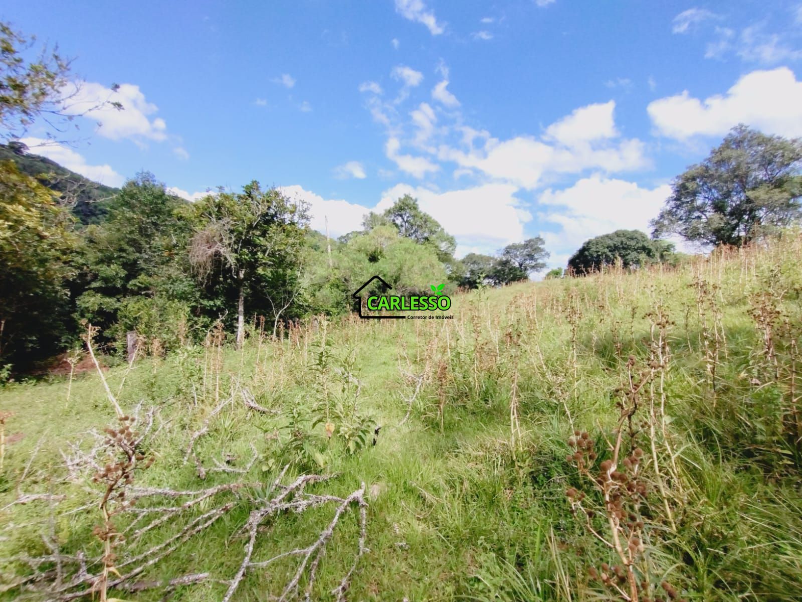 Sítio, 23 hectares - Foto 28