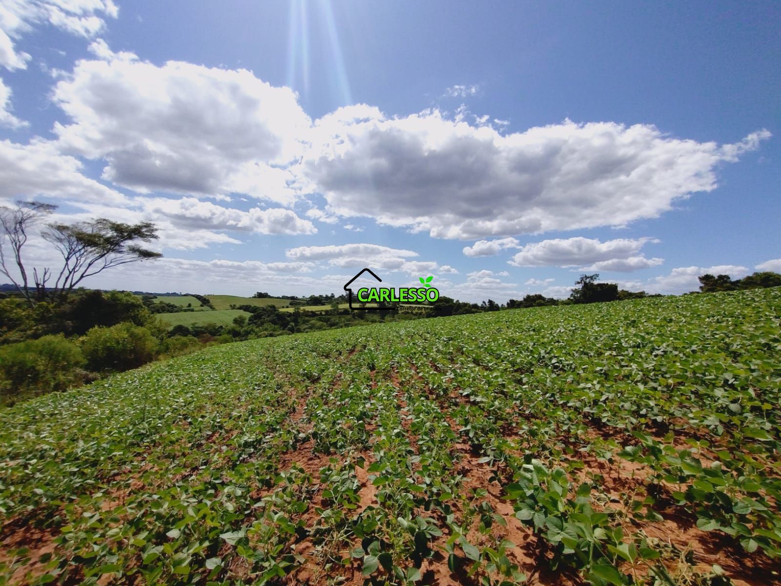 Sítio, 25 hectares - Foto 42