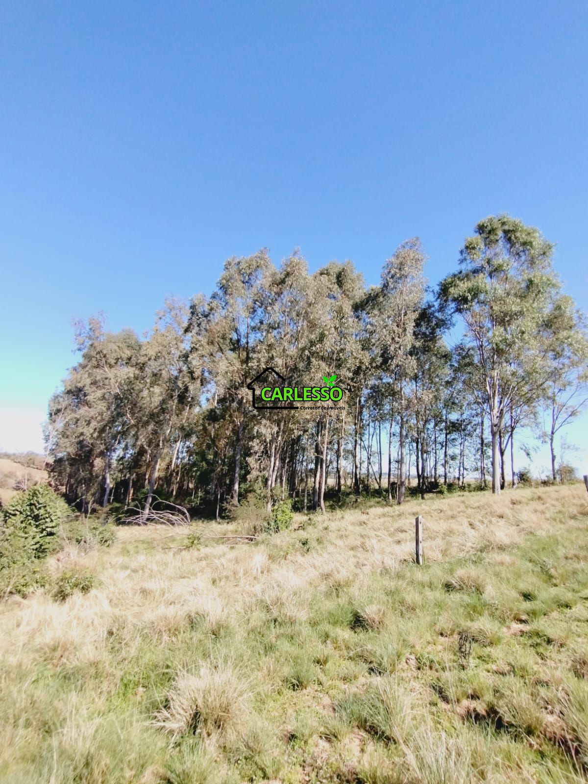 Chácara, 3 quartos, 12 hectares - Foto 38