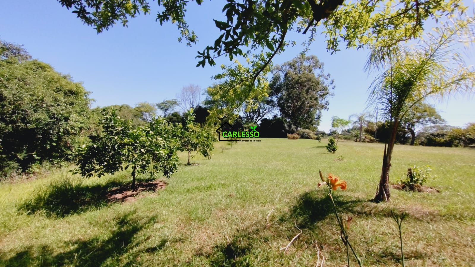 Sítio, 2 quartos, 7 hectares - Foto 39