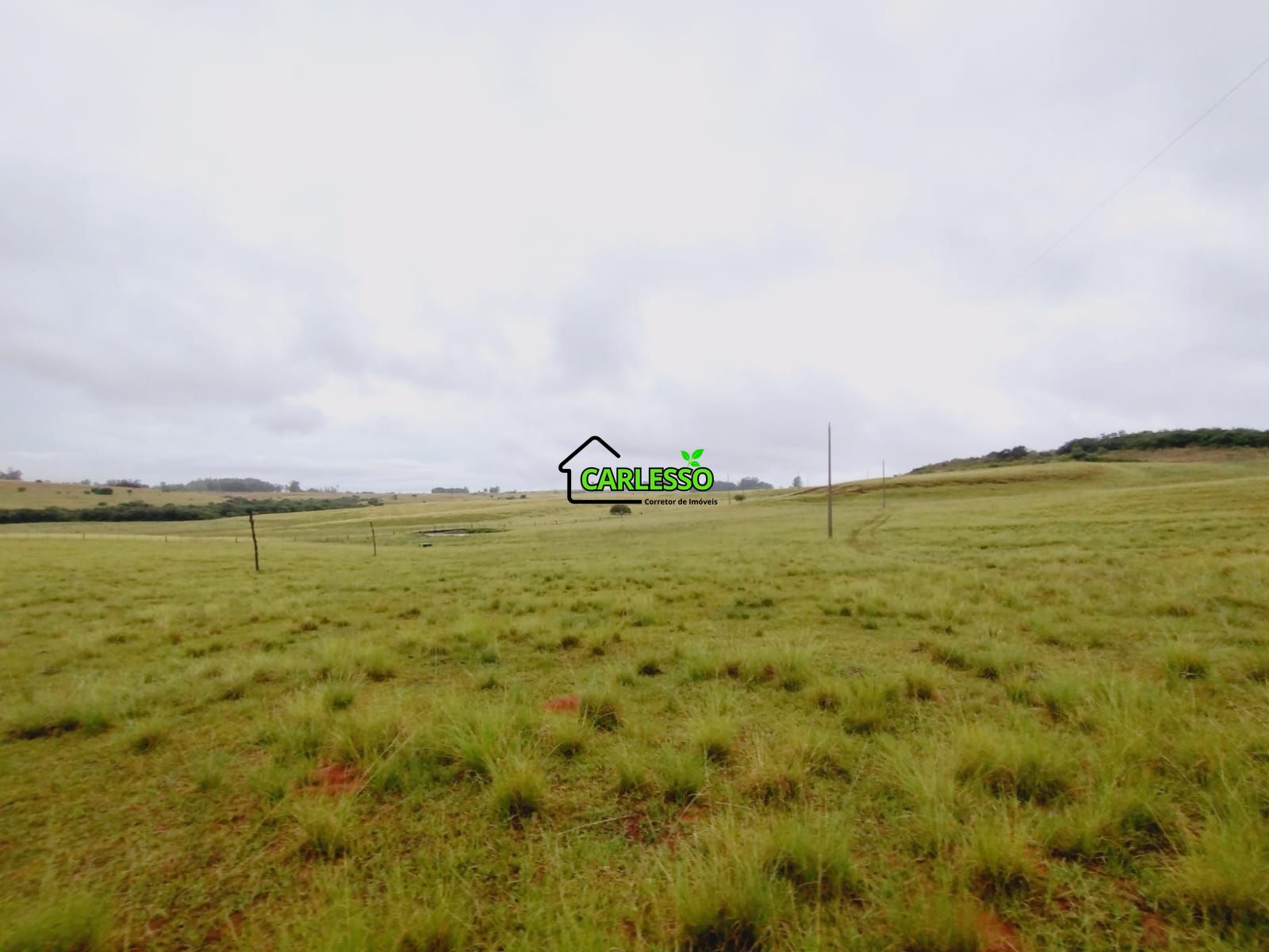 Fazenda de 80 ha em Alegrete