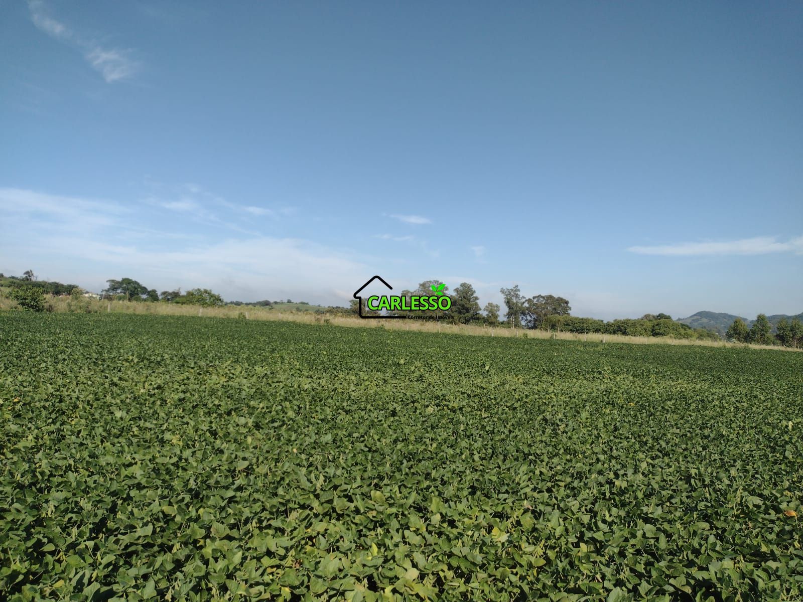 Área de 8,5 ha a venda