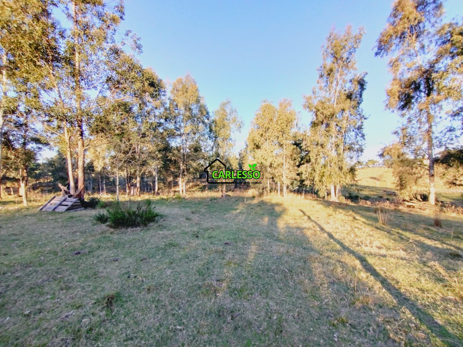 Sítio, 3 quartos, 7 hectares - Foto 25