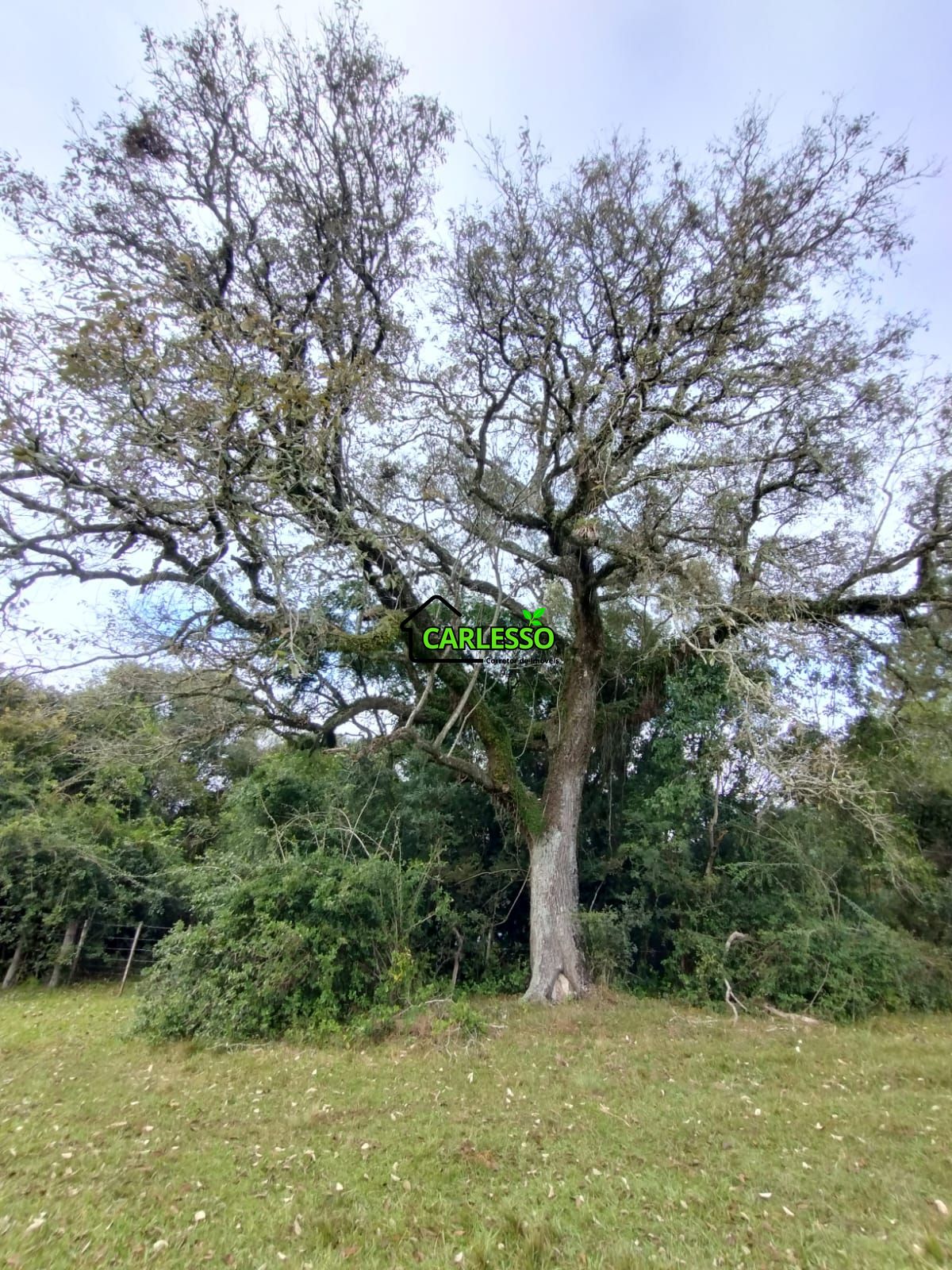 Área rural de frente ao asfalto