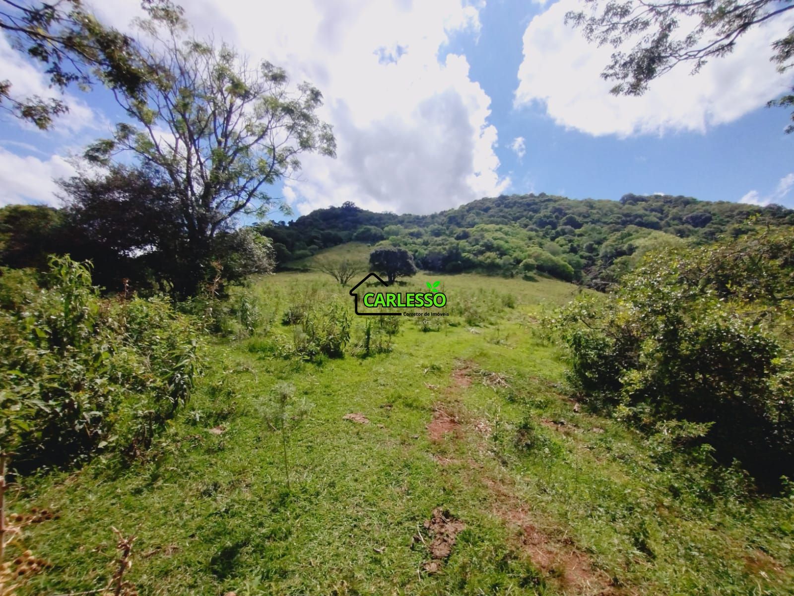 Sítio, 23 hectares - Foto 18