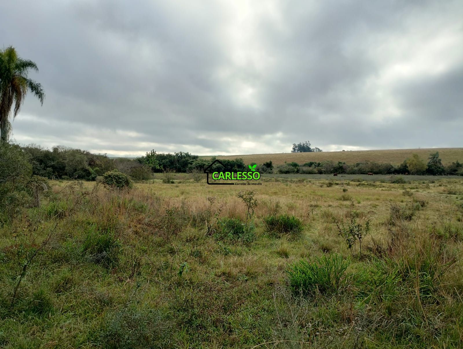 Área rural de frente ao asfalto