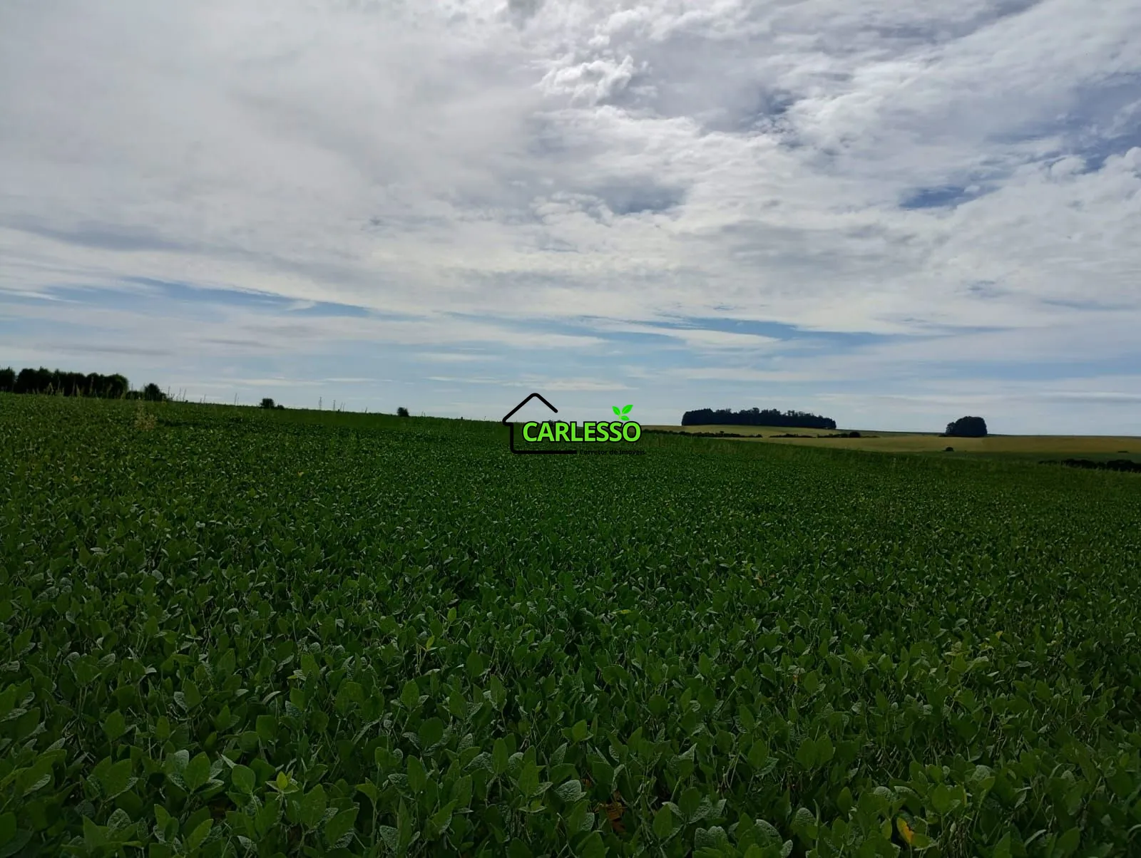 Sítio, 3 quartos, 25 hectares - Foto 44