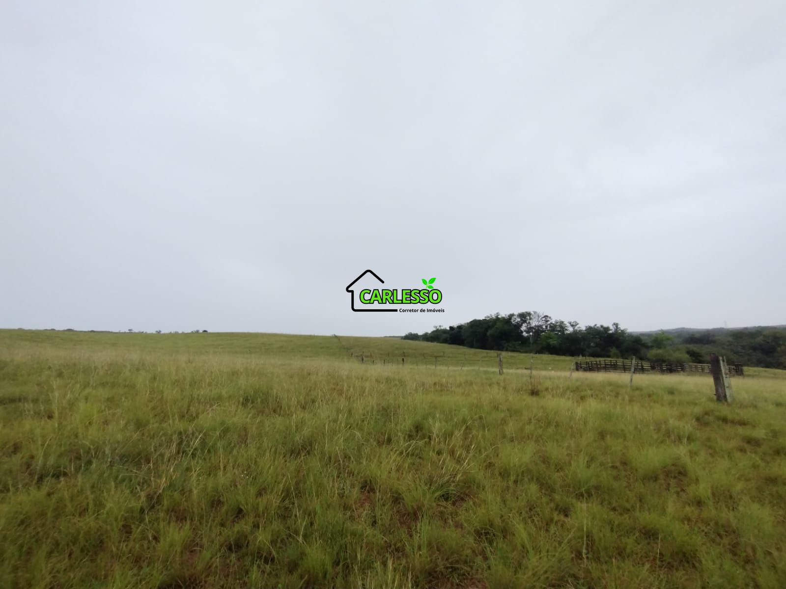 Fazenda de 80 ha em Alegrete
