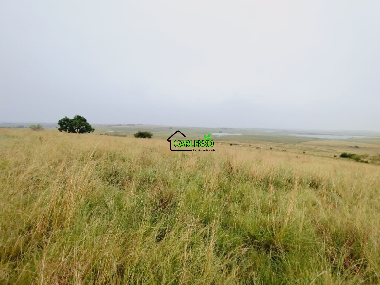 Fazenda, 120 m² - Foto 13