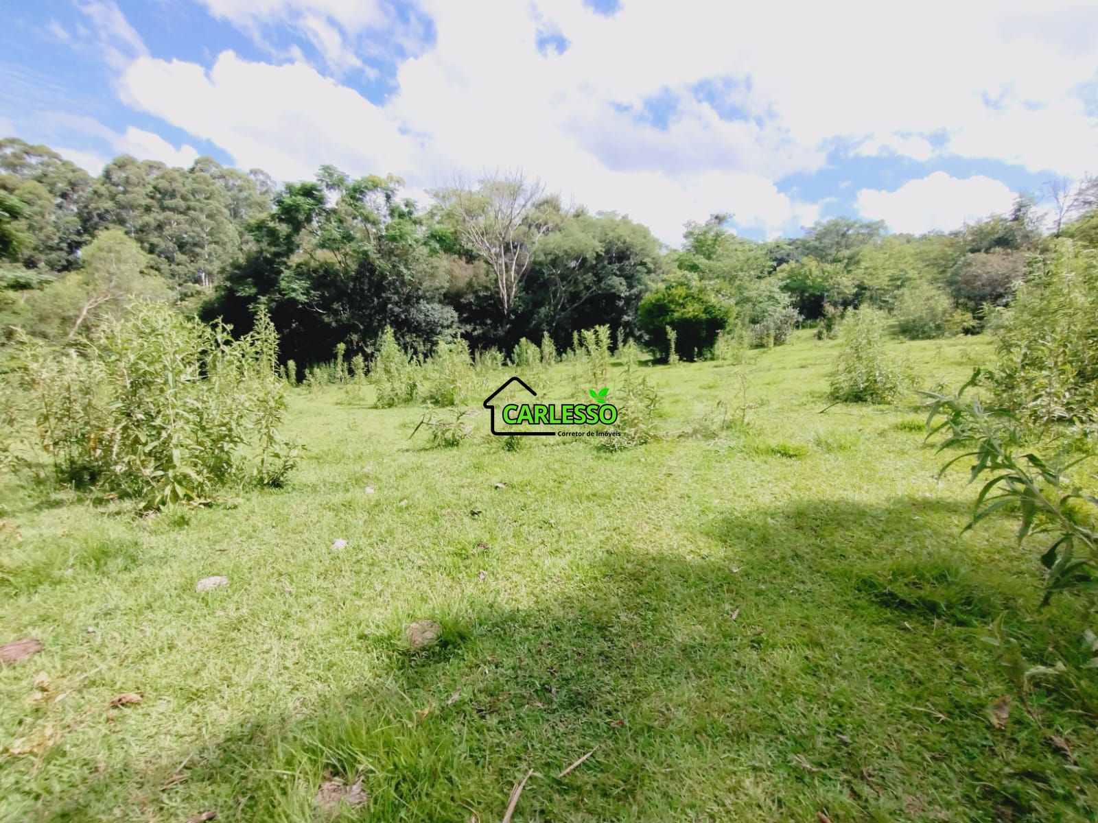 Sítio, 23 hectares - Foto 33