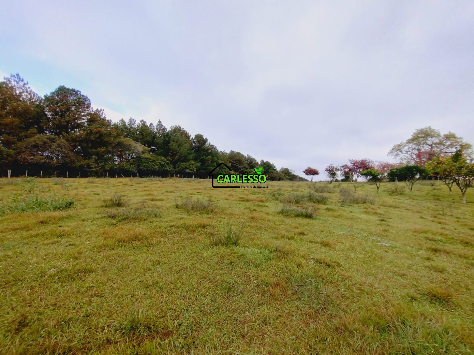 Área rural de frente ao asfalto