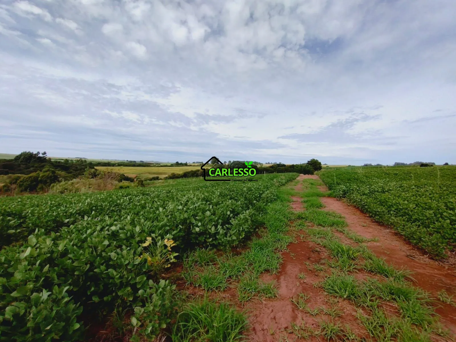 Sítio, 3 quartos, 25 hectares - Foto 46