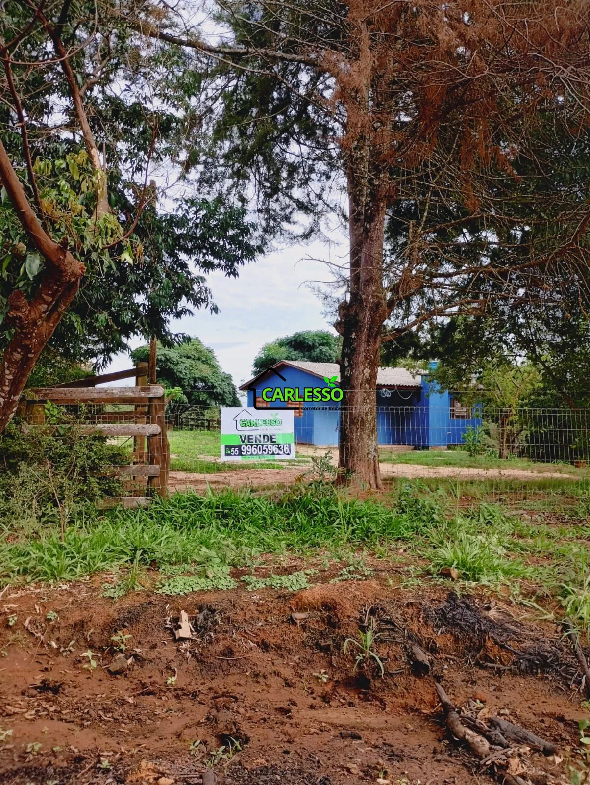 Sítio, 3 quartos, 4 hectares - Foto 1