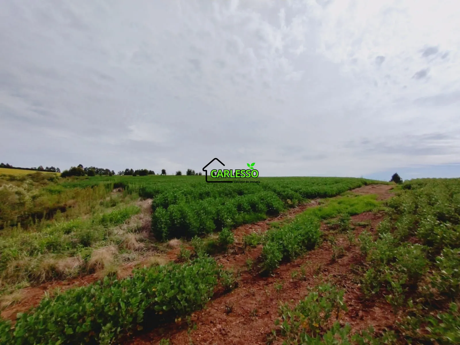 Sítio, 3 quartos, 25 hectares - Foto 47