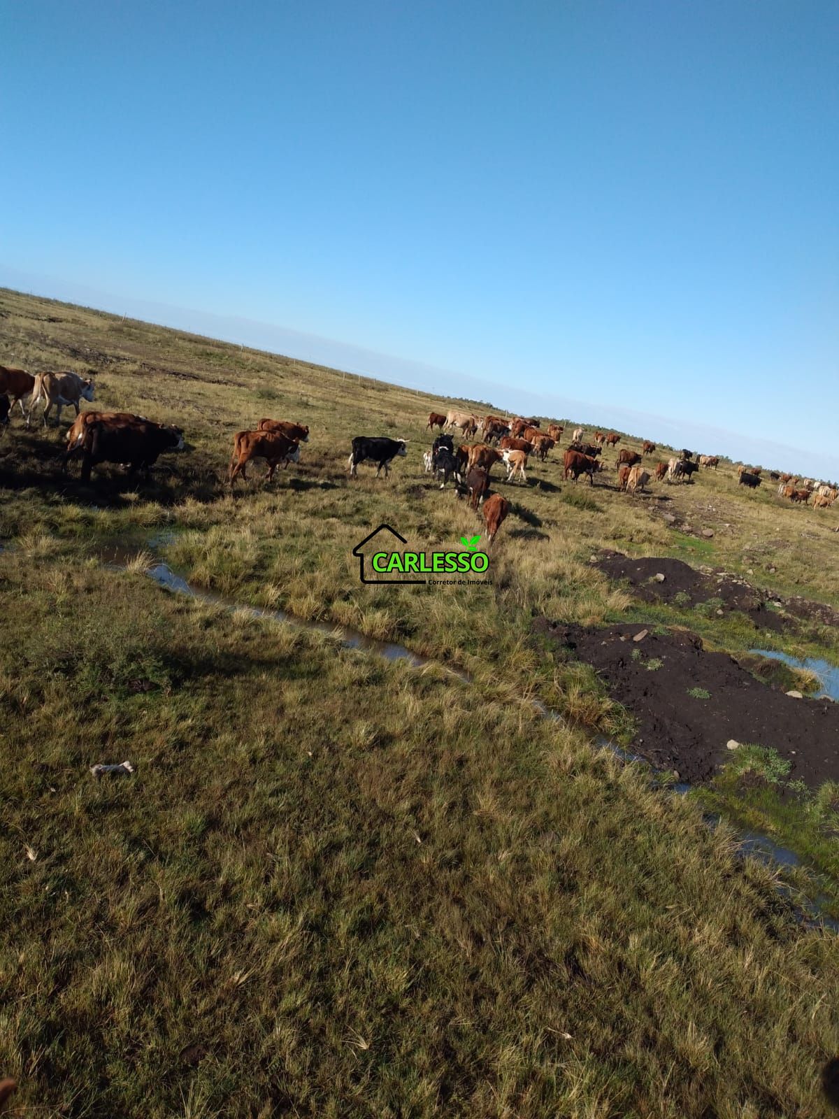 Fazenda de 65 ha
