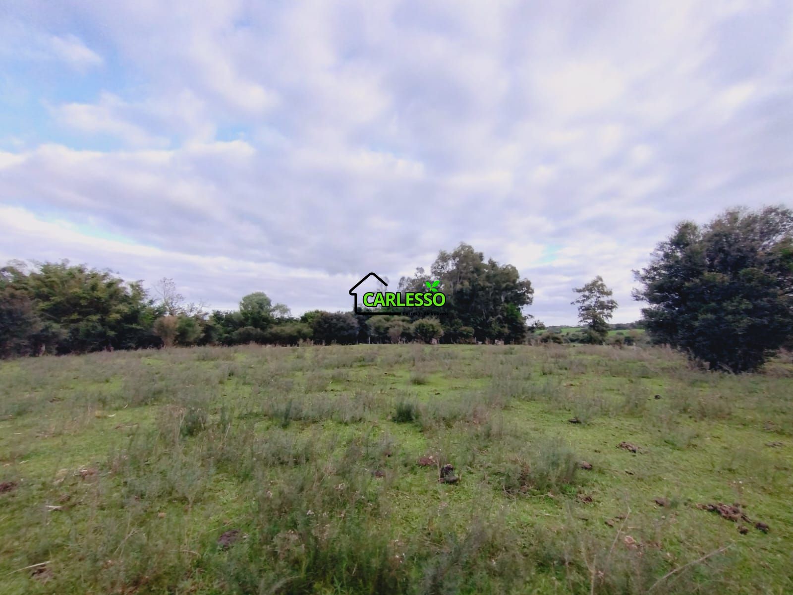 Terreno, 6 hectares - Foto 33