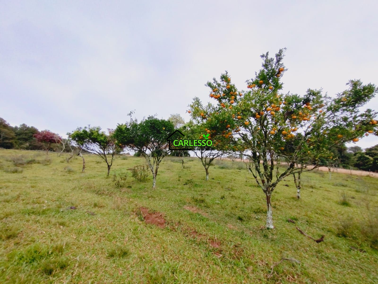 Área rural de frente ao asfalto