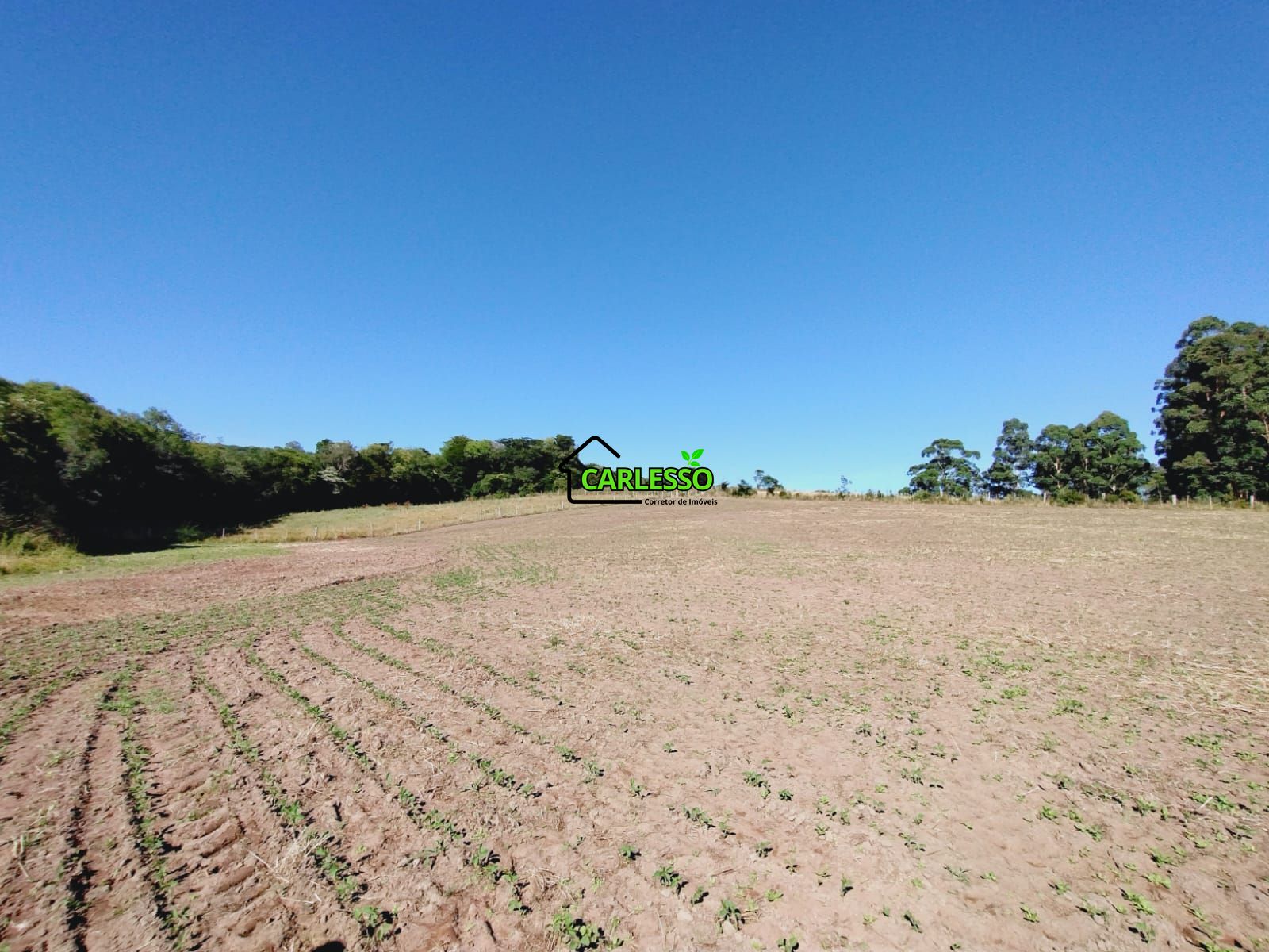 Sítio, 9 hectares - Foto 30