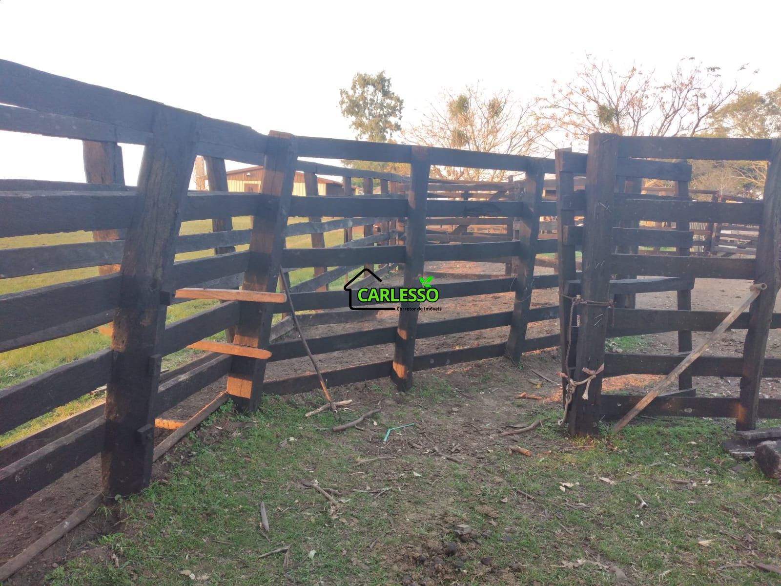 Fazenda de 65 ha