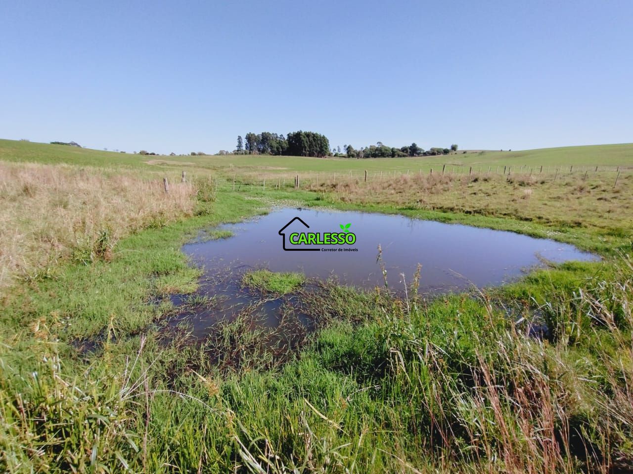 Chácara, 2 quartos, 2 hectares - Foto 56