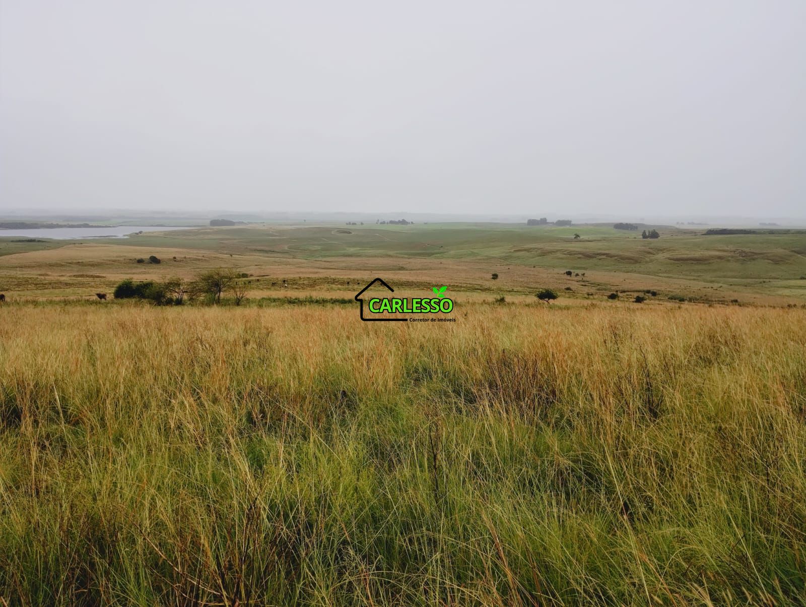 Fazenda, 120 m² - Foto 19