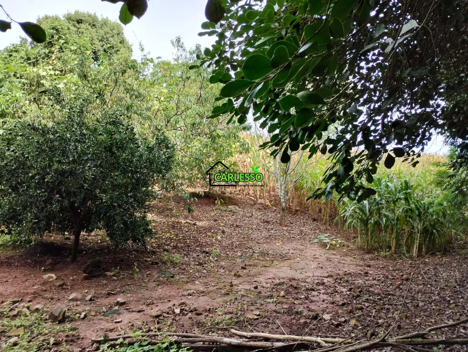 Sítio, 3 quartos, 25 hectares - Foto 26
