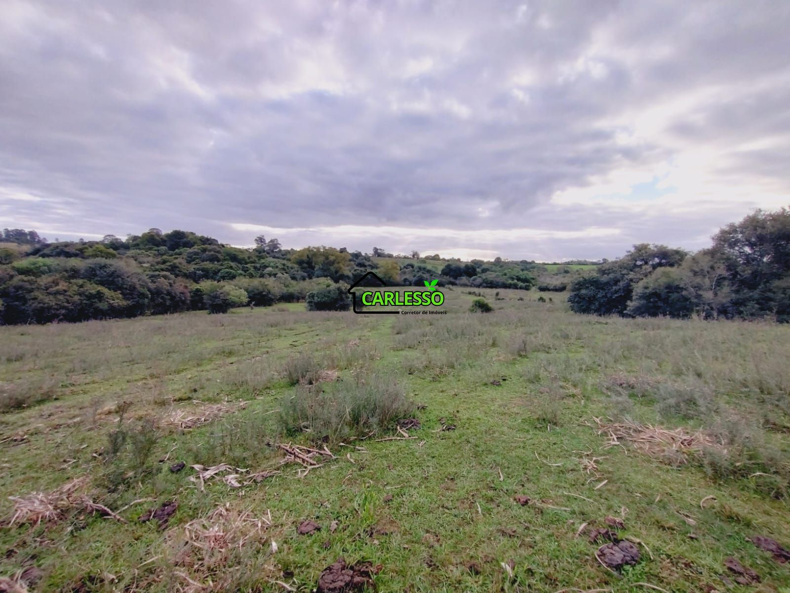 Terreno, 6 hectares - Foto 31