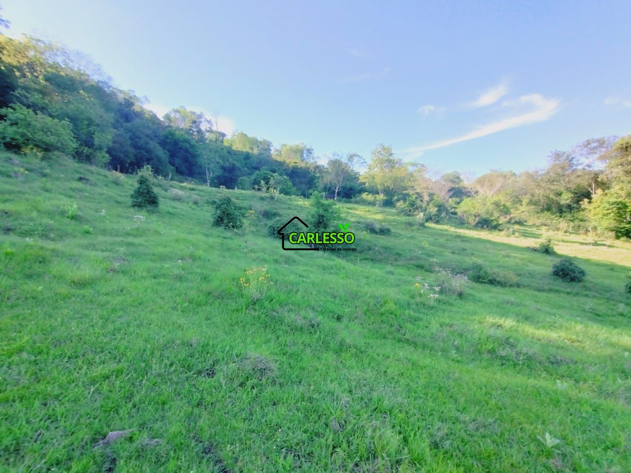 Chácara, 2 quartos, 7 hectares - Foto 39