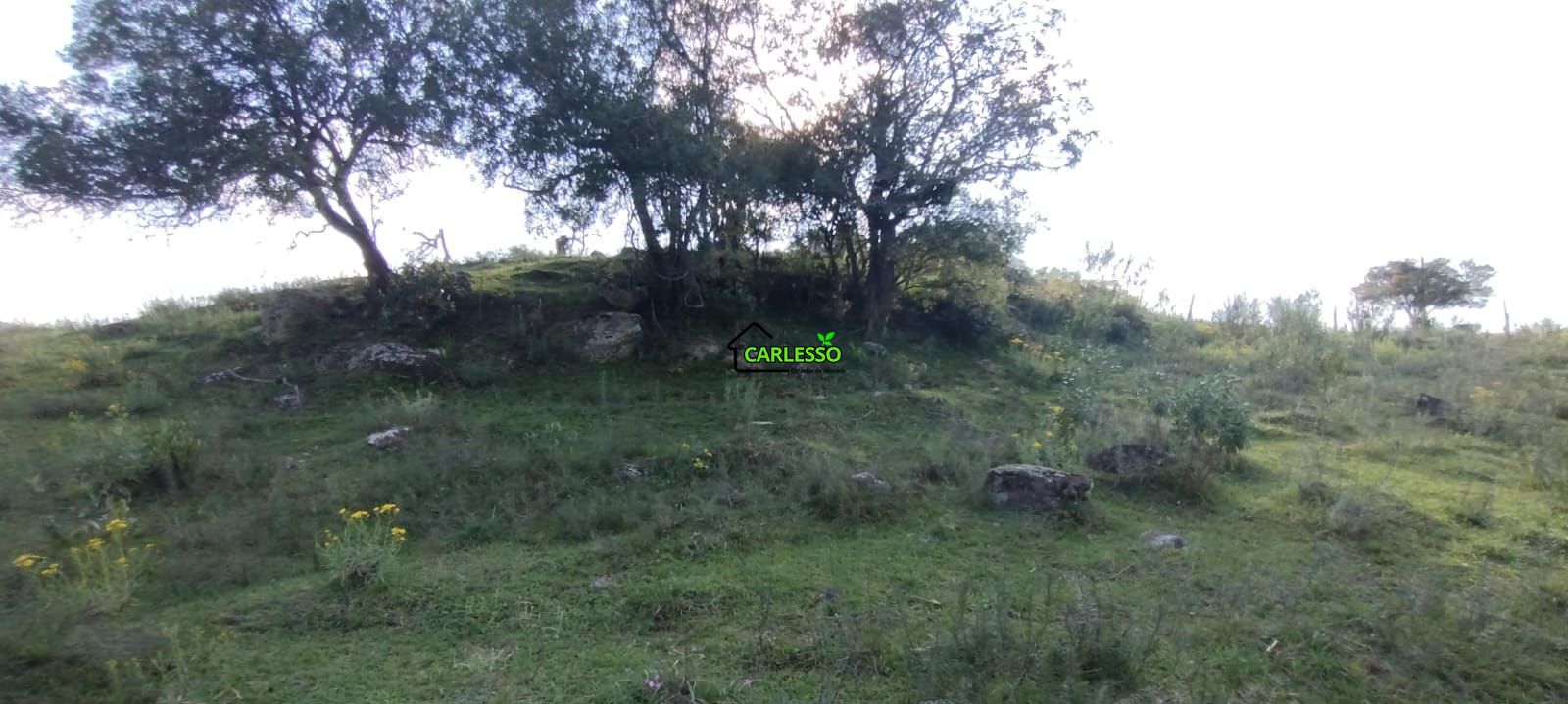 Área rural de 5 ha