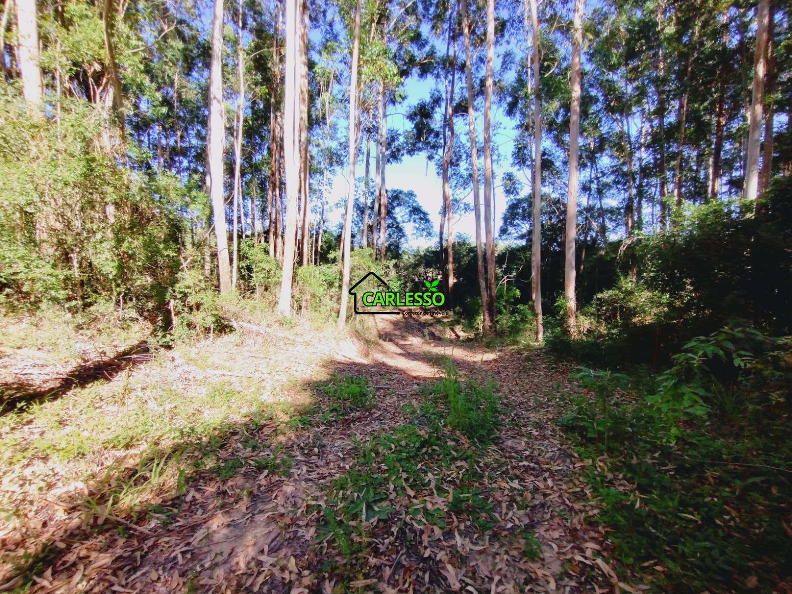 Sítio, 9 hectares - Foto 27