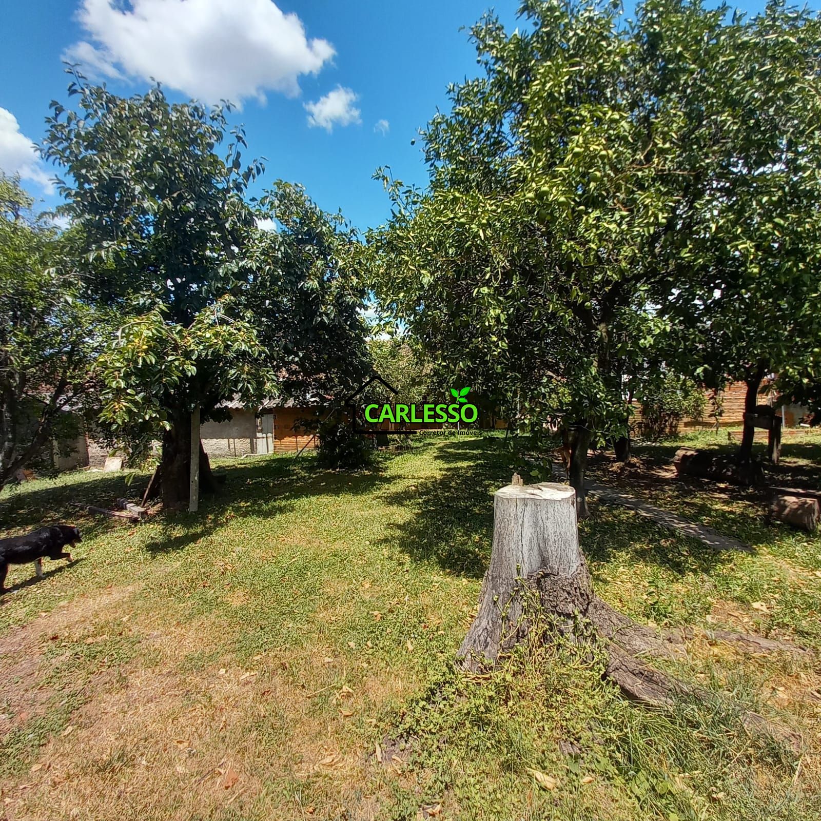 Casa, 4 quartos, 171 m² - Foto 27