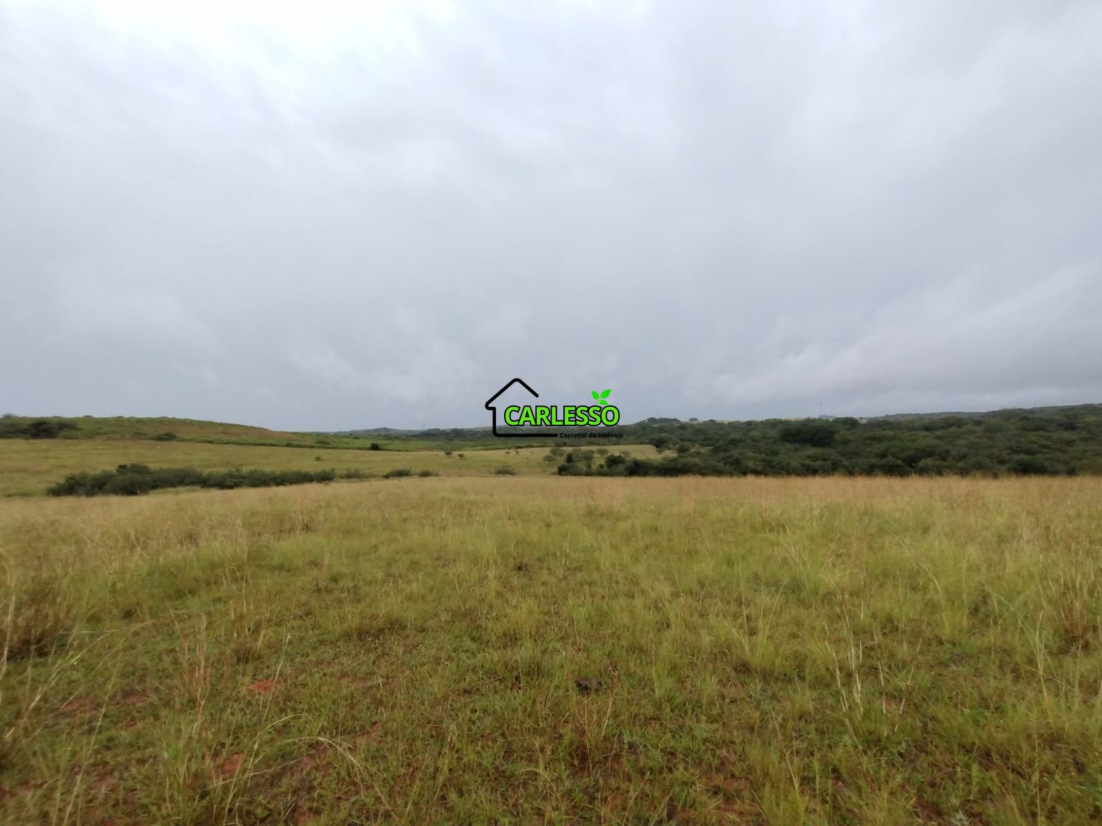 Fazenda de 80 ha em alegrete